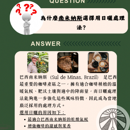 巴西 南米納斯